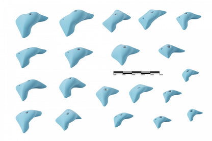 X-Cult - Rookie (Set of 20)